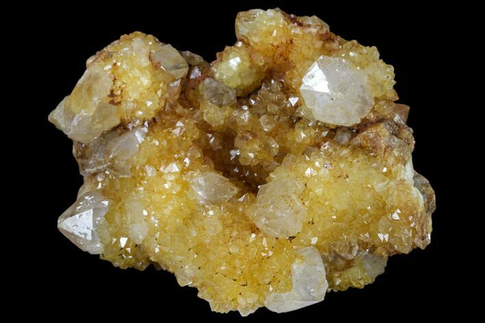 Sunshine Cactus Quartz Crystal Cluster - South Africa #115156